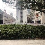 NEWS京橋 前面道路