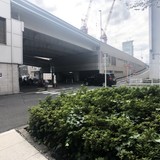 NEWS京橋 前面道路