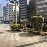 晴花ビル 前面道路