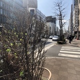 晴花ビル 前面道路
