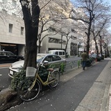 日本橋ロイヤルプラザ 前面道路