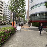 新東京ビル 前面道路
