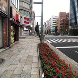 バンセイ室町 前面道路