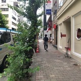 アンジェリック・フォセッテビル 前面道路