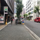 アンジェリック・フォセッテビル 前面道路