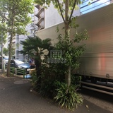 初音森ビル 前面道路