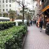 王子不動産銀座ビル 前面道路