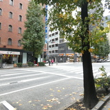 木下ビルディング 前面道路