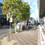 ニチレックビル 前面道路