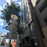 東実共済ビル 外観
