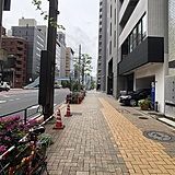 ニッテイビル 前面道路