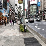 銀座シルクビル 前面道路