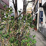 医療ビル 前面道路