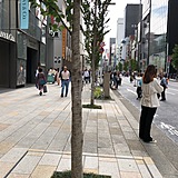 藤田ビル 前面道路