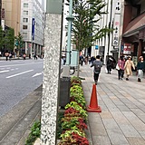 藤田ビル 前面道路