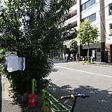 築地小柴ビル 前面道路