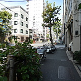 築地小柴ビル 前面道路