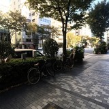 文化エステート浜町ビル 前面道路