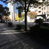 文化エステート浜町ビル 前面道路