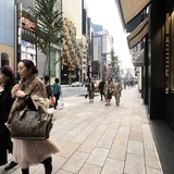 植松ビル 前面道路