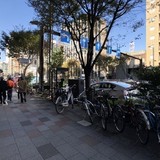 シグネットビル 前面道路