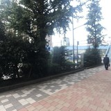 第三正明ビル 前面道路