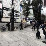 ゑり円ビル 前面道路
