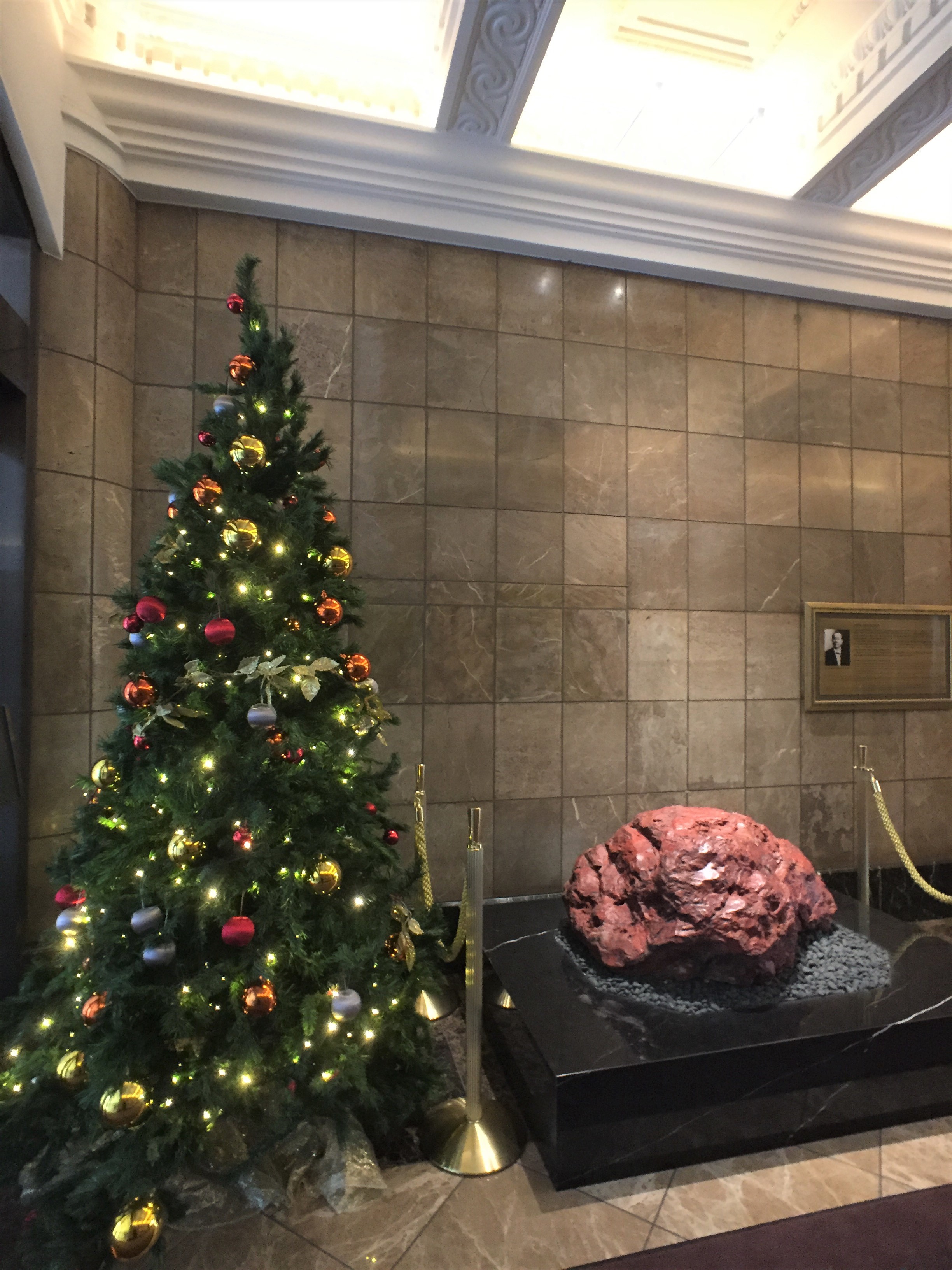 <p>クリスマス前にはクリスマスツリーがお出迎え。こういう些細な気配りも素敵です。</p>